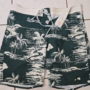 Hawaiin Swim Trunks